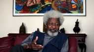 Police confirm cows strayed into Soyinka’s compound, reveals owner
