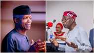 2023 elections: Osinbajo hands off Tinubu's campaign? New twist clears air