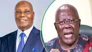 "Advise Tinubu not me": Atiku fires shots at PDP bigwig, Bode George