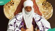 Kano: Sarki Sanusi II ya magantu kan zaben kananan hukumomi, ya tura sako