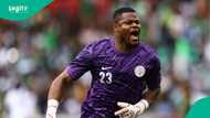 Stanley Nwabali: Super Eagles goalkeeper nominated for prestigious CAF Award