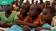 Full list: States with highest out-of-school children in Nigeria