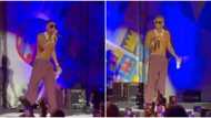 It was my pilot and my jet: Wizkid apologizes at Afro Nation after delaying audience for 4 hours