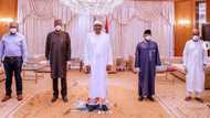 Buhari replaces PTF with new committee, gives duration for operation