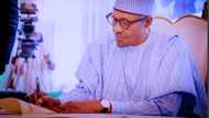 Buhari makes new appointment ahead of 2023 presidential election