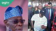 Trending video: Obasanjo seen doing Legendary leg-work as ex-president marks his 87th birthday