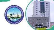 The NDDC scholarship — what it covers, who qualifies, and everything you need to apply