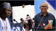 Tinubu’s victory: “INEC’s server logs show manipulated election results”, Peter Obi reveals in court