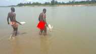 49-year-old man apprehended by police for bathing with blood in Ogun state