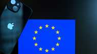 Apple asks EU to scrap landmark digital competition law