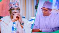 'Su suka zagaye shi': Gwamna ya tona yadda 'yan siyasa suka munafurci Buhari