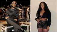 "Person wey fit slap you, you no fear": Lady shoots Valentine shot at Burna Boy, sends him DM