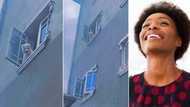 "Life no easy": Frustrated dog climbs tall building, sticks its head out the window, owner sights it in video