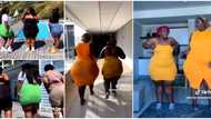 "They carry 20 people nyash give one person": Video of 4 very curvy women having fun in tight clothes trends