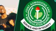 JAMB 2024 high performer: Nigeria man shares student's stellar 352 score in UTME