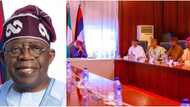 4 things Tinubu should consider before appointing ministers, top analyst reveals