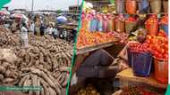 Good news as prices for beans, garri, rice, yam, and other food items drop