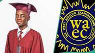 WAEC 2024 result of Nigerian boy who studied for 8 hours every day surfaces