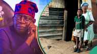 World Bank releases data on Nigeria’s poverty line under Tinubu, lists factors responsible