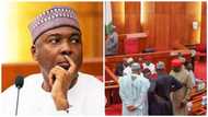 APC forms majority as Saraki, Akpabio, 62 senators,151 reps fail to return