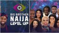 BBNaija Level Up: 2 levels, tail of house, 4 other ways reality show switched things up for season 7