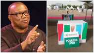 Peter Obi reacts to ongoing APC presidential primary, speaks directly to Nigerian youths