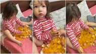 "Children of these days": Baby breaks multiple raw eggs on top of bed, plays with it in viral TikTok video