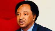 Majalisa Ta 10: APC Ba Ta Son Ta Ba Wa Inyamurai Jagoranci, Sanata Shehu Sani