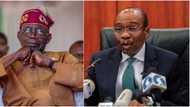 Emefiele: Labour Party reveals why Tinubu should probe INEC, not CBN Gov