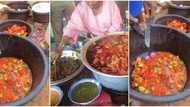 "I no fit chop outside": Nigerian lady exposes mama put using rotten tomatoes, her video stirs reactions