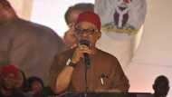 Buhari to give final resolution on ASUU strike, UTAS, wage increase for varsity lecturers, says Ngige