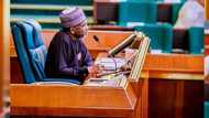 2023 general election: Femi Gbajabiamila calls for regulation political spending