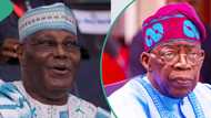 Why PEPT judgment had our watermark, Tinubu’s legal team explains to Atiku, PDP