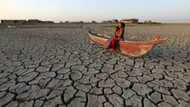 Global warming palpable for 96% of humans: study