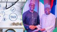 Full list: Tax committee submits 20 recommendations to Tinubu for quick action, he responds