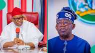 2027 election: Tinubu, Akpabio get message on who should become next APC chairman