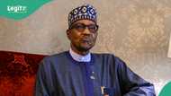 “How Buhari turned down luxury gifts, UAE’s personal jet offer,” Garba Shehu speaks