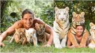 So lovely: Man stirs massive reactions online after sharing before and after photos of himself and his tigers