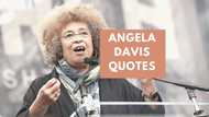 Angela Davis quotes on feminism, racism, capitalism and revolution