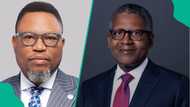 Dangote Refinery IPO: "Investors are ready to support the right story" – Comercio Partners CEO