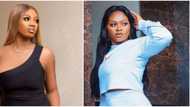 Allow us handle Tega: Fans react as Angel defends fellow BBNaija star, tells trolls to be kind