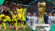 South Africa defy supercomputer prediction to qualify for historic knockout stage