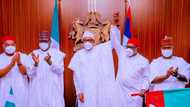 Buhari to Andy Uba: I'm anxious of your victory, presents APC flag