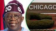 Babu Hujja Cewa Tinubu Ya Kirkiri Takardan Jabu Na Jami'ar Chicago, BBC