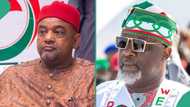 PDP crisis: "He didn't participate in his own election," national chair fires Dino Melaye