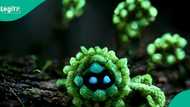 BREAKING: Deadly meningitis outbreak kills over 20 people, location, other details emerge