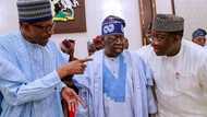 Jiga-jigan siyasan Kudu na neman canza lissafin APC, Tinubu na hada-kai da abokan fada
