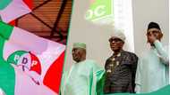 Breaking: Ex-DG of PDP governors forum dumps party for ADC, reason emerges