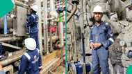 Dangote Refinery control engineer opens up about his experience after over 2 years on the job