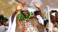 'Allow us flush bandits out of Lagos-Ibadan Expressway bushes,' Gani Adams charges 3 key governors